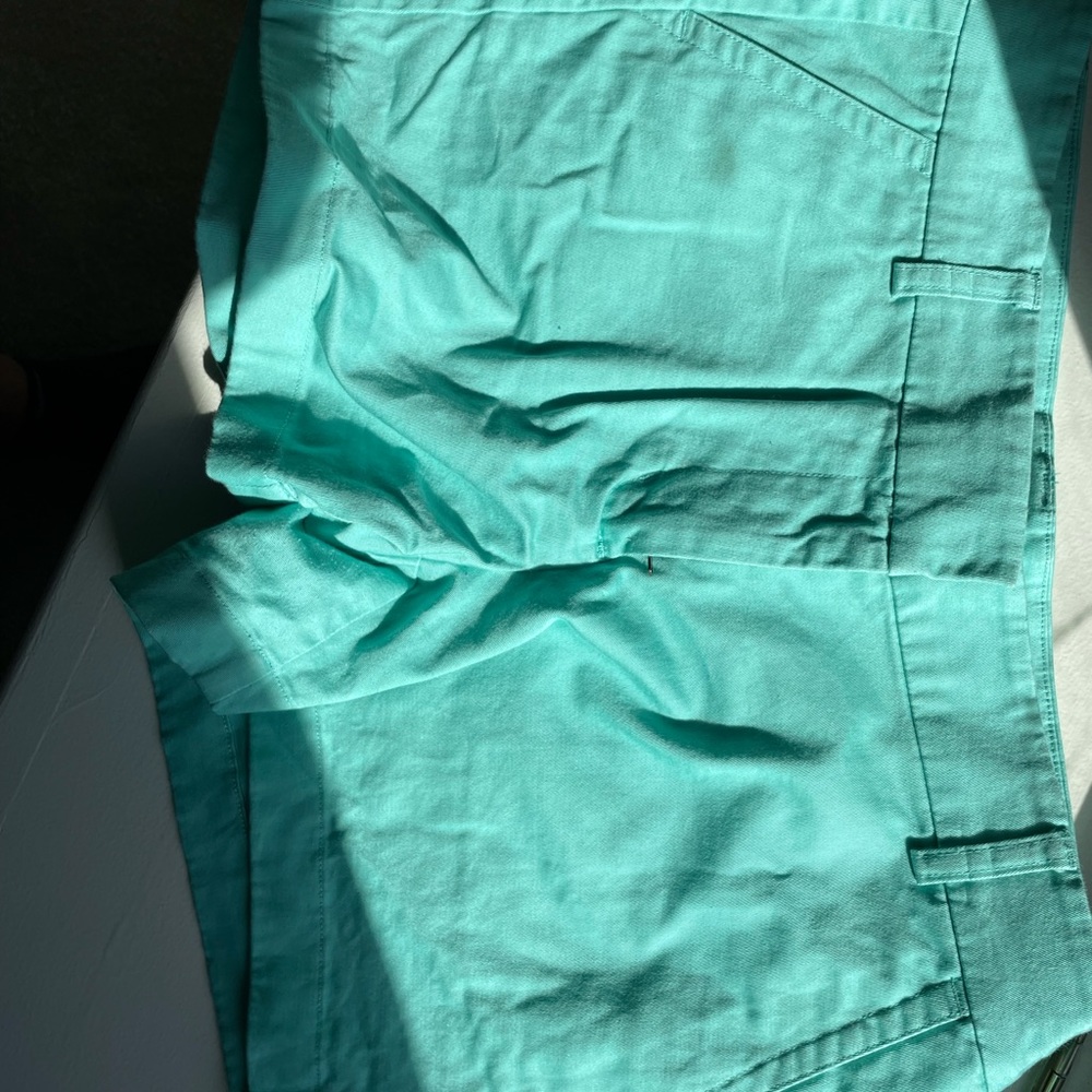 Vineyard Shorts size 14